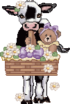bmoo-adpt3.gif