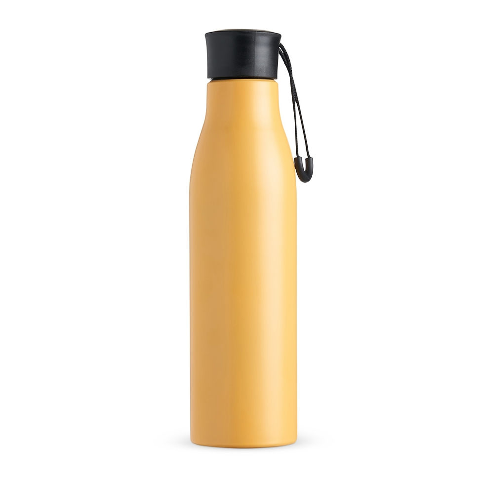 Miniatura: Garrafa Inox 800ml