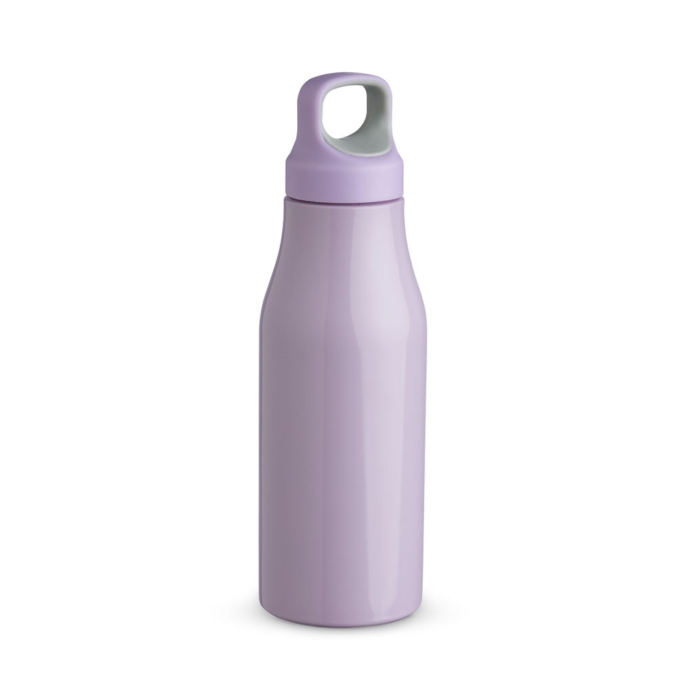 Miniatura: Garrafa Inox 650ml