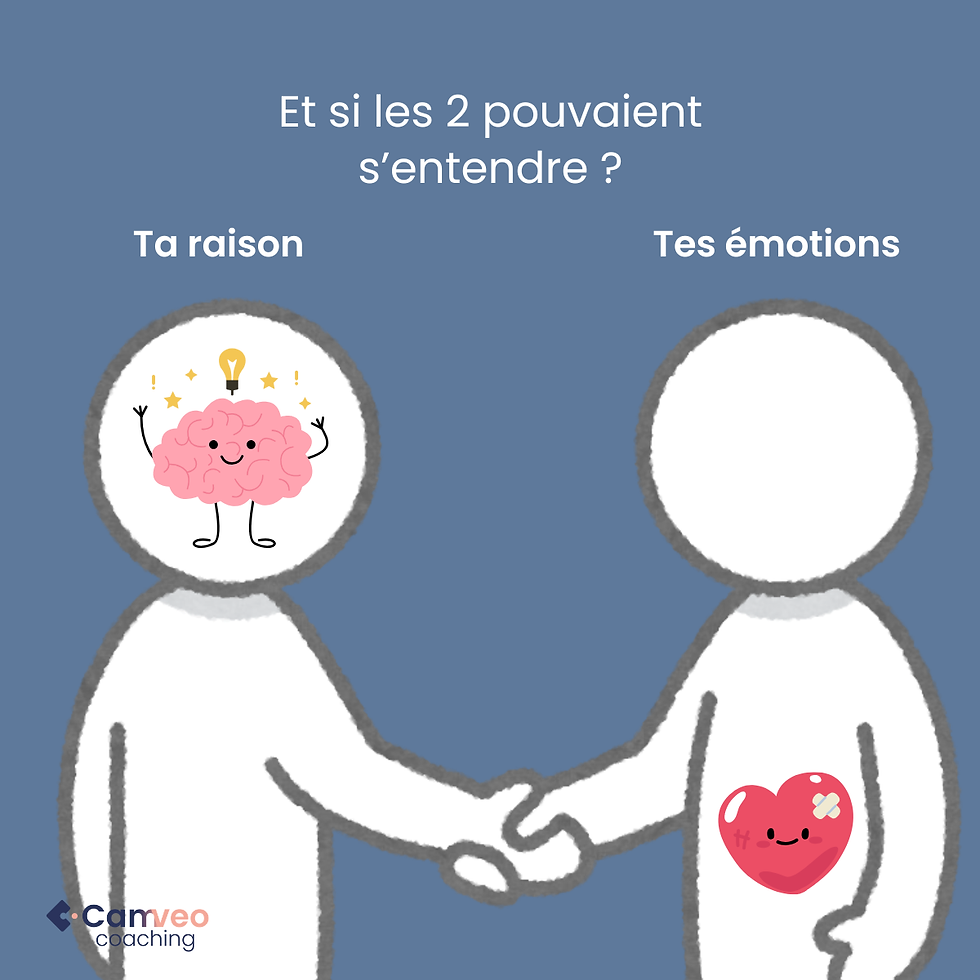 entente_raison_emotions.png