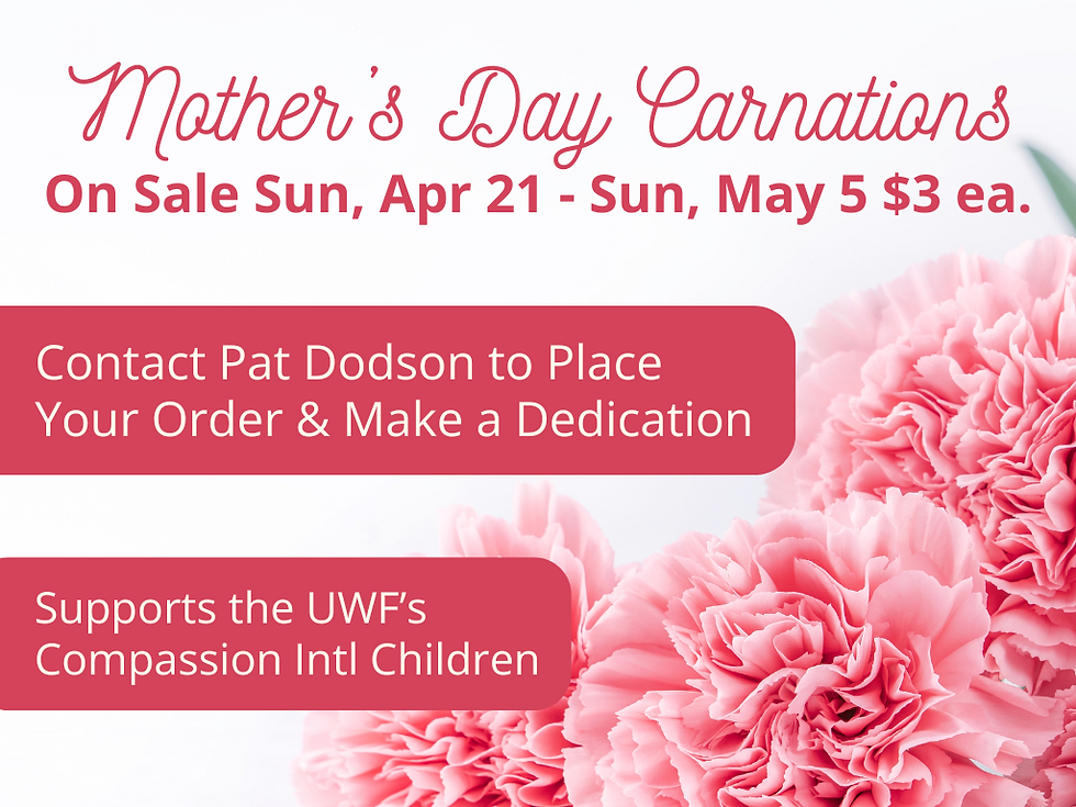 Mother's Day Carnations