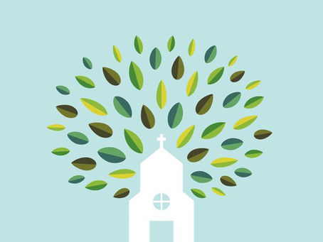 Opportunities to Grow