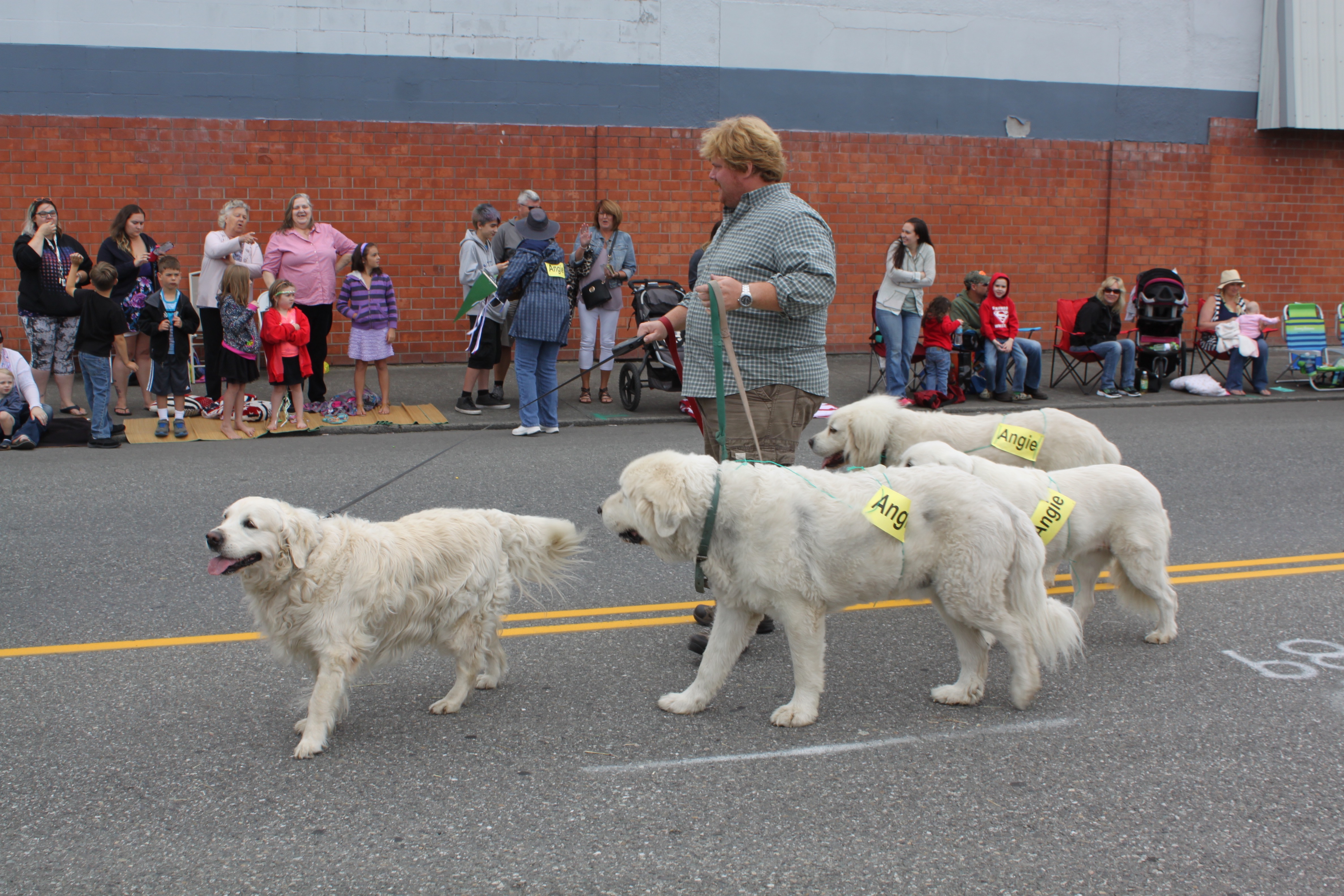 Stanwood / Camano Fair Parade