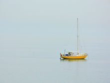 GuruShots: Pure Minimalism