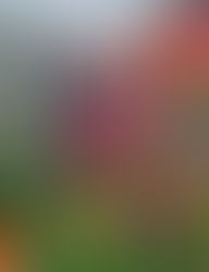 Thinking Outside The Cube: SPAO Photo Walk