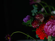 Karene-Isabelle Jean-Baptiste: La Puissance d'une Palette