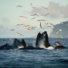 Seth Macey: Outdoor adventures and creativity through a camera lens