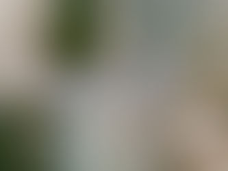 The LAND issue has landed