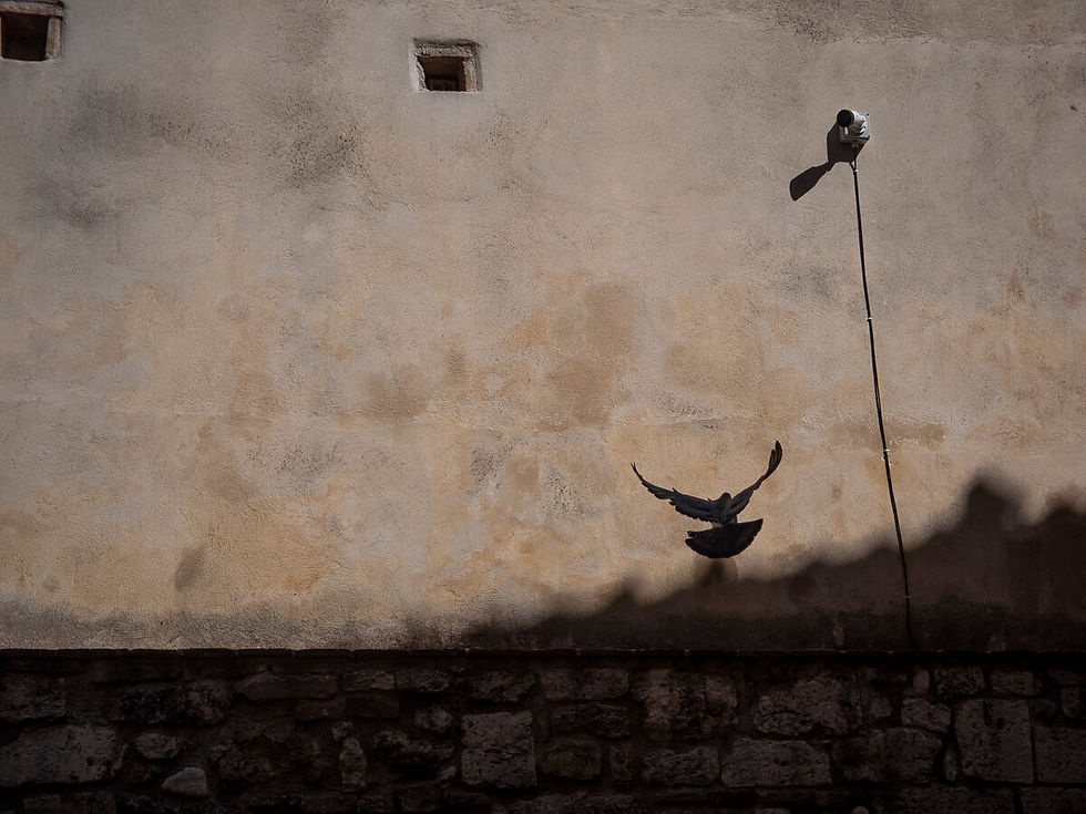 From the SAN GEMINI series by Anna Wilson