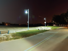 ALEX WEBSTER: Challenging Perceptions