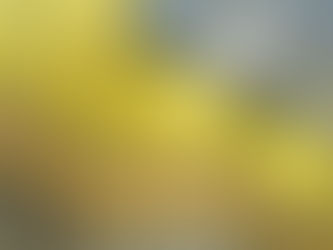 Chris Shepherd: Waiting