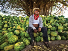 Douglas Walker: Traveller