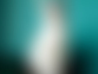 Marcia Leeder:  Pet Connections