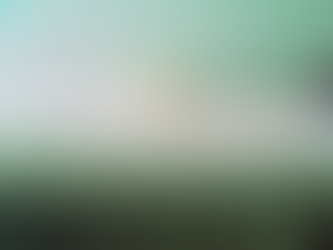 Laura Letinsky: Between deliberation and desire
