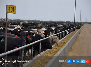 Screen Shot 2021-12-29 at 12.35.13 PM.png