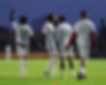 sapl front page.jpg