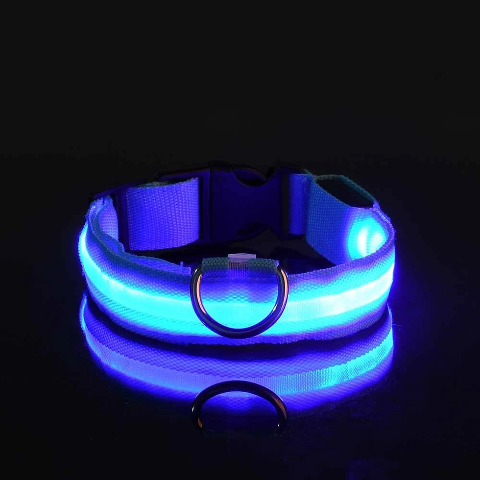 Thumbnail: Nylon LED Night Safety Flashing Glow in the Dark Dog Leash Dogs Luminous Fluores