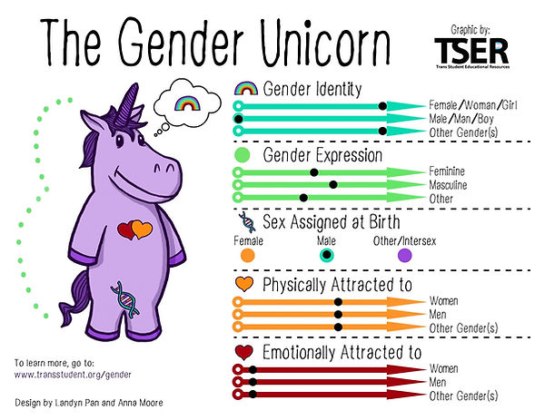 genderunicornexample1-scaled.jpeg