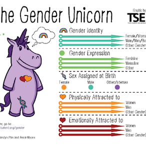 Gender Unicorn Follow Up