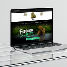 Mockup ordinateur Green Brothers