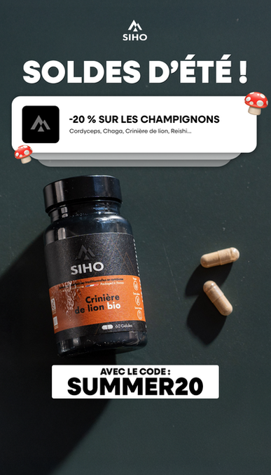 JUILLET IMAGE I Soldes I Rappel Iphone Version Story.png