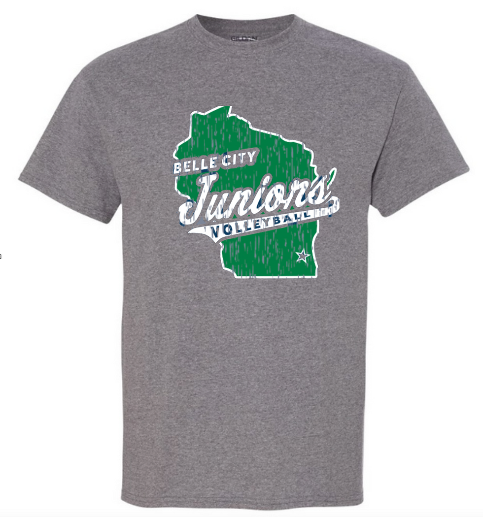 Thumbnail: Coach T-shirt State