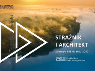 Jak PSE przygotowują grunt pod elektryfikację polskiej gospodarki?