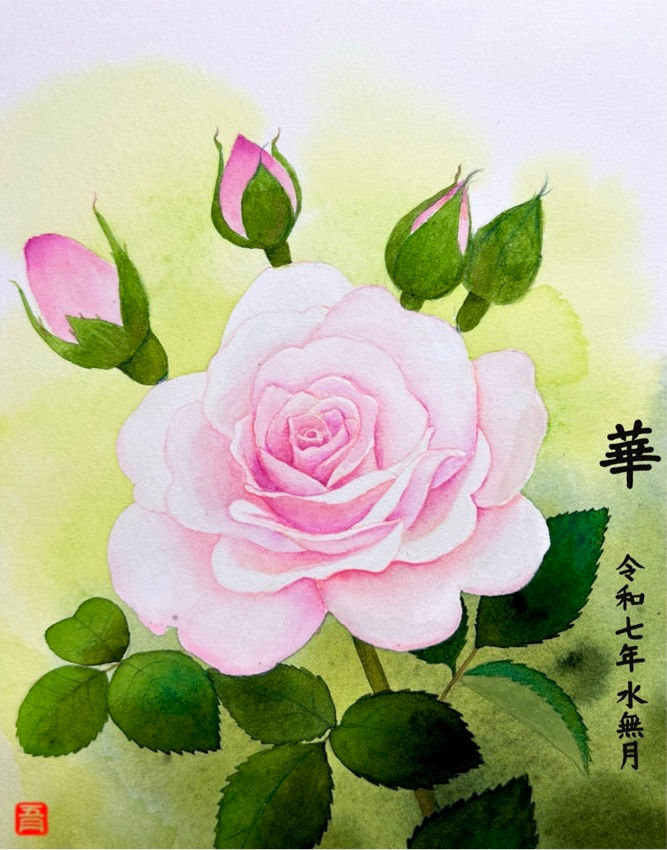 薔 薇 〜水無月の華やぎ〜