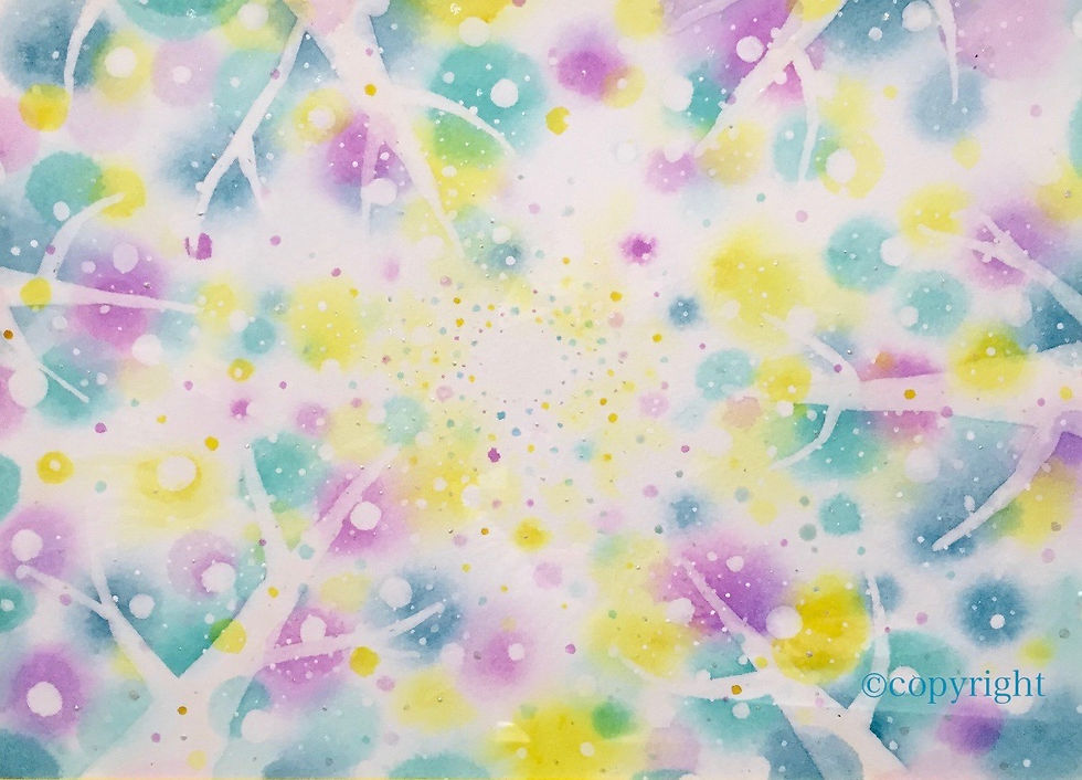 木漏れ日　〜 sun-drops 〜