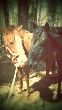 IMG_20140412_113220082