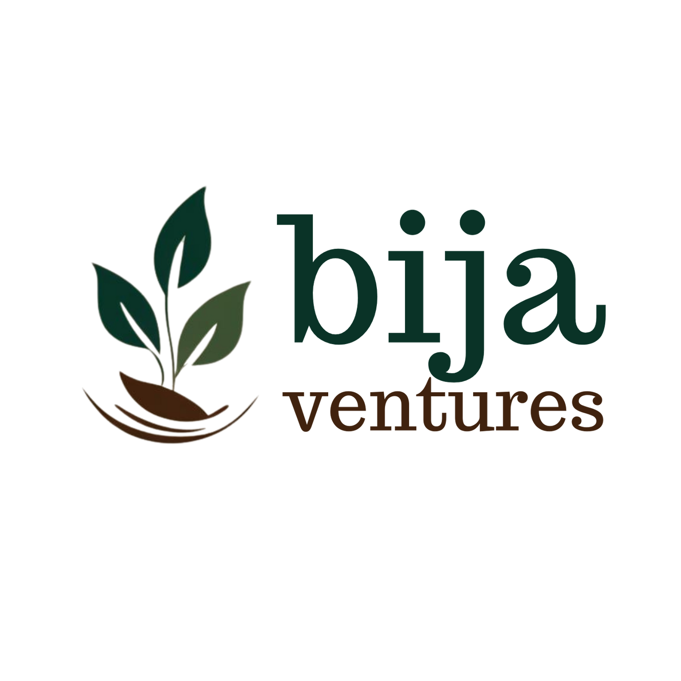 Bija Ventures photo