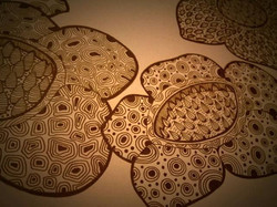 Flower 2