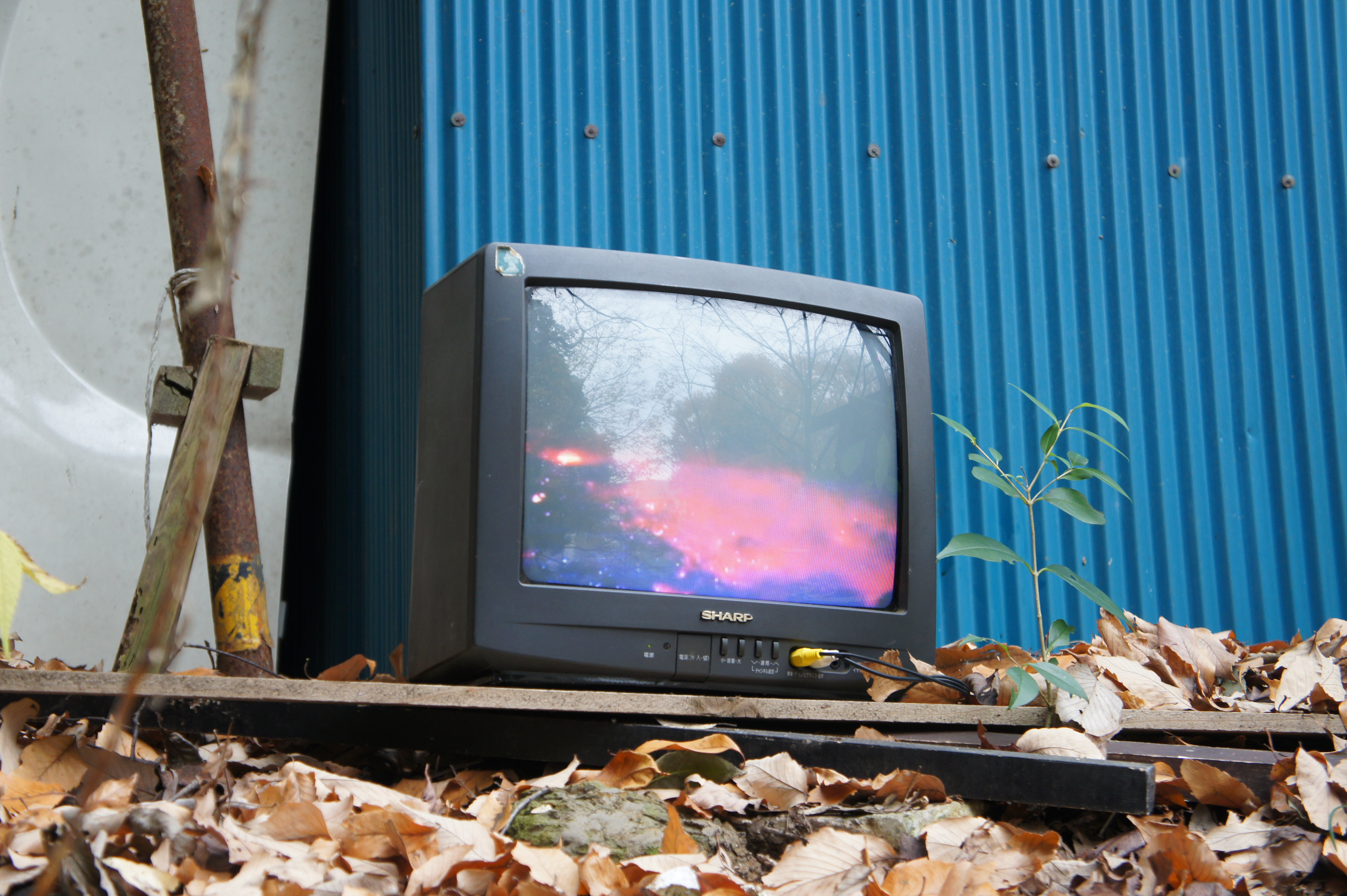 WRONG TV