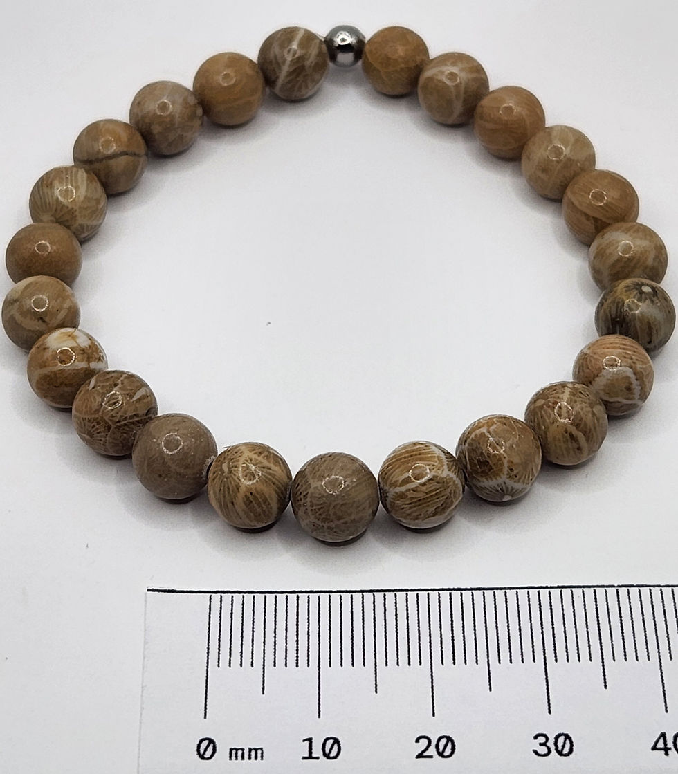 Thumbnail: Petoskey (Fossil Coral)