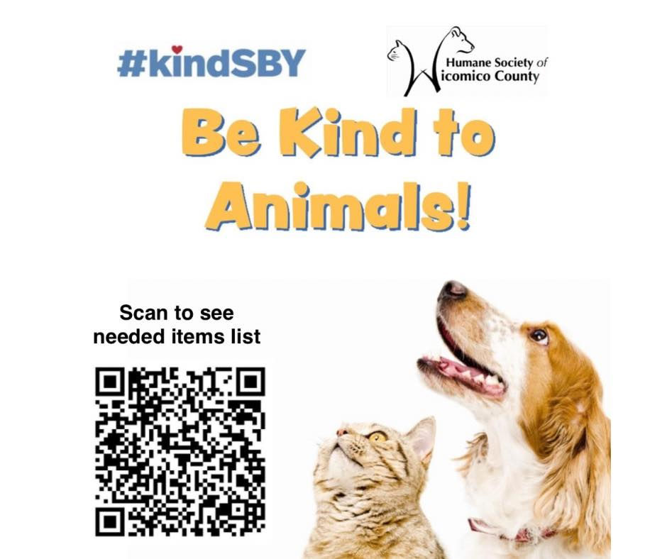 KindSBY visits the Humane Society