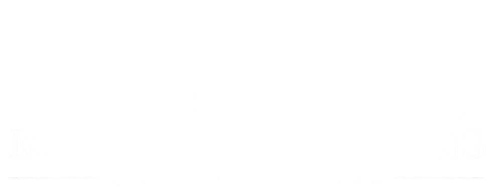 SchaunnonWinter-LOGO-colored_edited.png