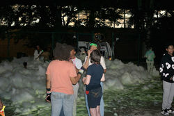 529293863_1107036784864123_1130842691747476351_n