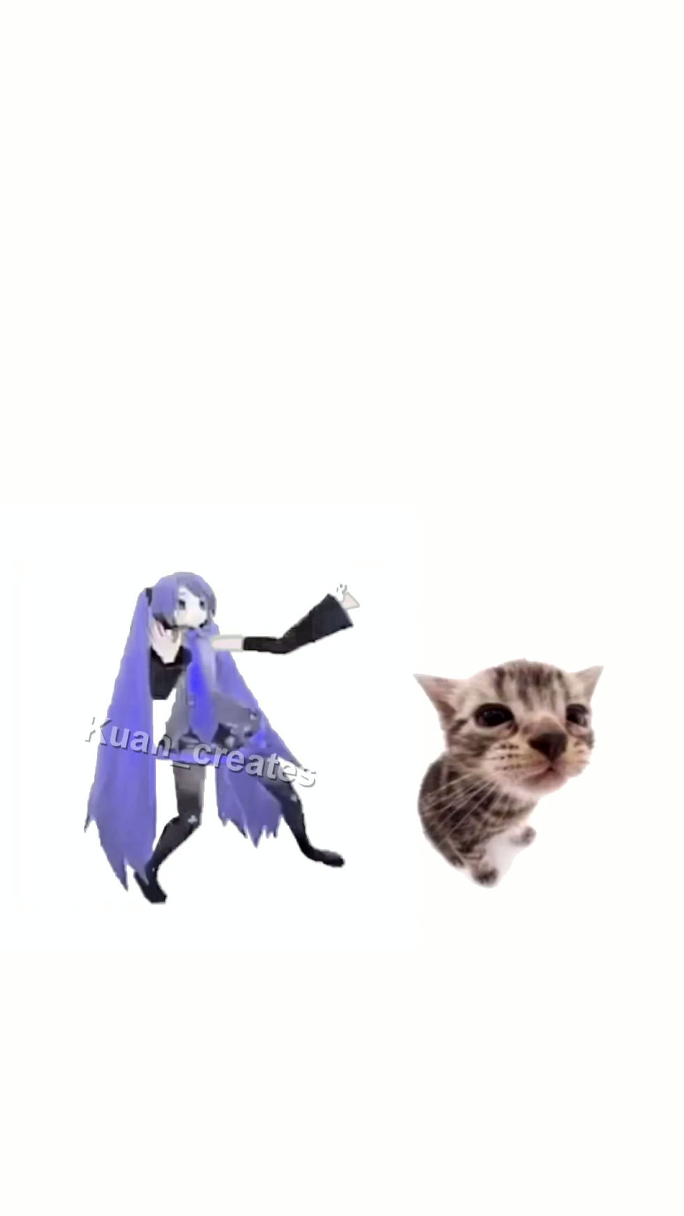 elgatitomeme3.mp4