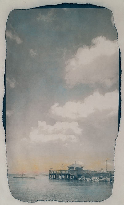 Cyanotype on Hahnemühle sumi-e paper toned with strawberry leaves and hand colored with pastel.