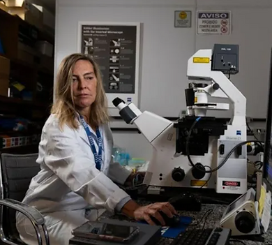 A regeneração que o Brasil precisa decidir.