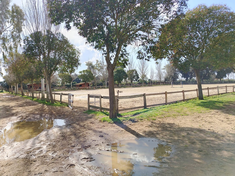 PHOTO-2025-03-12-22-16-29 5