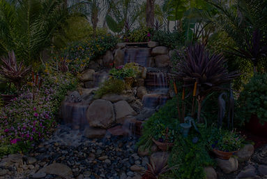Medford-2191-min_edited_edited.jpg