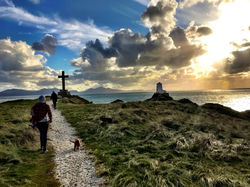 23316843_1327645687364999_34678071365059