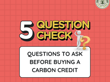 The 5-Question Checklist Before Buying Carbon Credits