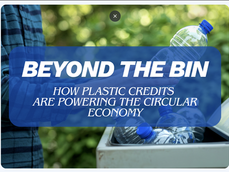 Beyond the Bin: How Plastic Credits Are Powering a $1.79B Circular Economy