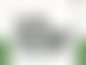 ๐๐ง๐๐ข๐ ๐ฃ๐ฎ๐ฌ๐ญ ๐ซ๐๐๐๐๐ข๐ง๐๐ ๐ญ๐ก๐ ๐ซ๐ฎ๐ฅ๐๐๐จ๐จ๐ค ๐จ๐ง ๐๐ซ๐๐๐ง ๐๐ซ๐๐๐ข๐ญ๐ฌ, ๐๐ซ๐๐๐ญ๐ข๐ง๐ ๐ฉ๐จ๐ฐ๐๐ซ๐๐ฎ๐ฅ ๐ง๐๐ฐ ๐ฉ๐๐ญ๐ก๐ฐ๐๐ฒ๐ฌ ๐๐จ๐ซ ๐๐ฎ๐ฌ๐ข๐ง๐๐ฌ๐ฌ๐๐ฌ ๐ญ๐จ ๐๐๐ก๐ข๐๐ฏ๐