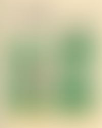 Why does it matter which type of carbon credit do you choose?