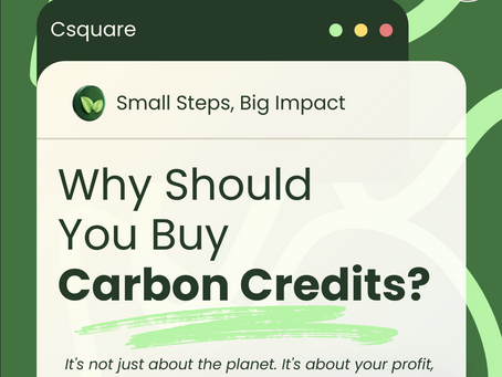 Why Buying Carbon Credits is the Smartest Growth Strategy You Havenโt Tried Yet
