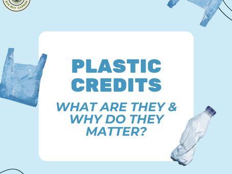 Beyond the Bin: A Comprehensive Guide to Plastic Credits