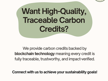 Not All Carbon Credits Are Created Equal: How to Spot "High-Quality" in a Crowded Market